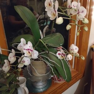 Meet your Posher, Katri